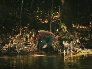 Último episódio da websérie Rota Regenerativa reforça o papel coletivo na transformação do agro