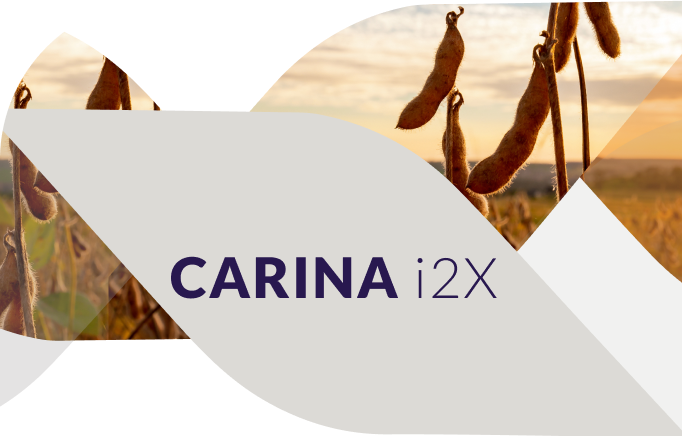 Cultivar de soja Carina i2X no campo