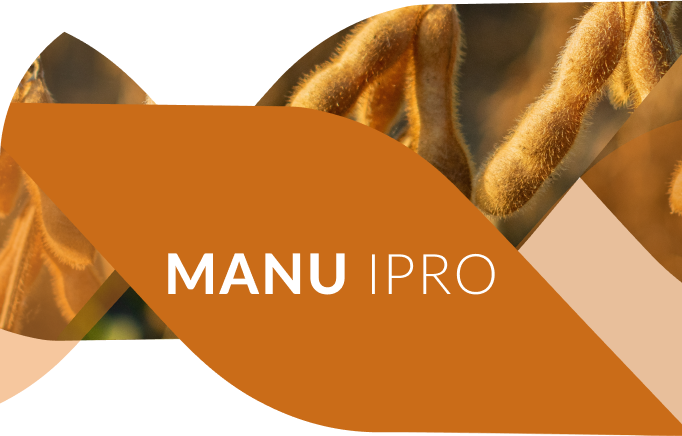 Cultivar de soja Manu iPRO no campo.